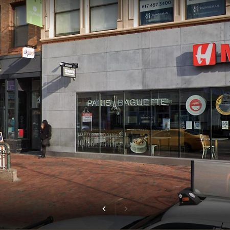 Comfortable Whole Apartment 1 Bed 1 Bath At Harvard-Mit Cambridge Exterior foto
